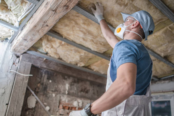 Best Cellulose Insulation in Clinton, IL