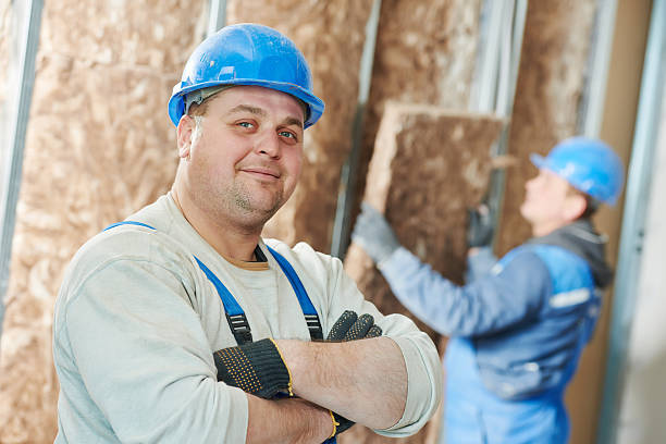 Best DIY Insulation Kits and Guidance in Clinton, IL